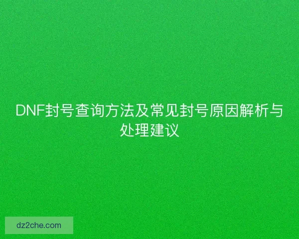 DNF封号查询方法及常见封号原因解析与处理建议