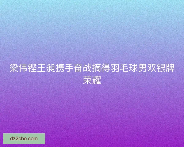梁伟铿王昶携手奋战摘得羽毛球男双银牌荣耀 梁伟铿王昶携手奋战摘得羽毛球男双银牌荣耀